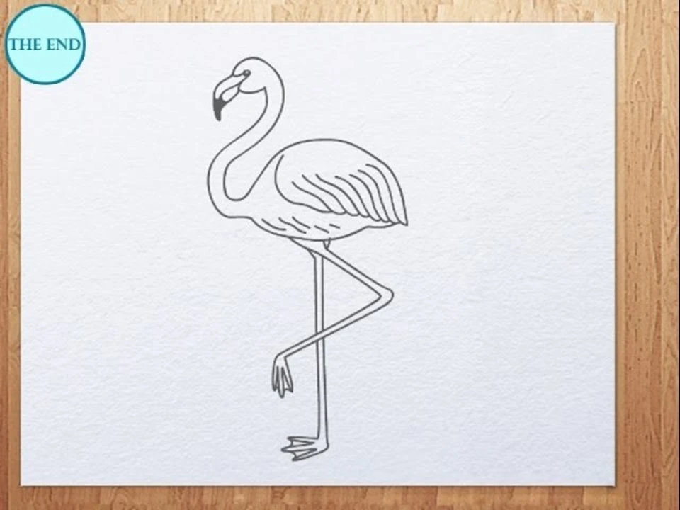 Фламинго простым карандашом