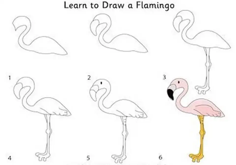 Фламинго поэтапно