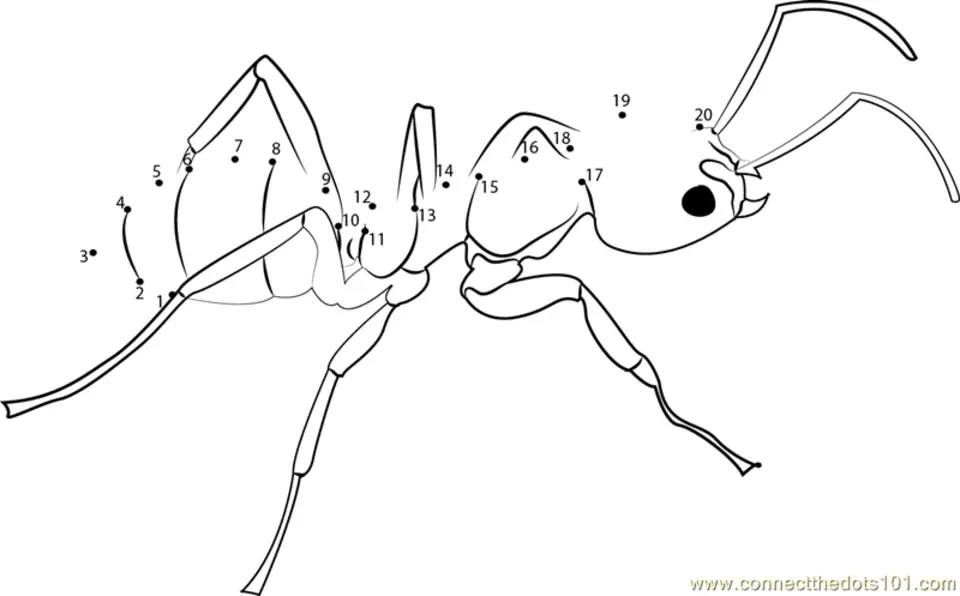 Рисование по точкам насекомые
