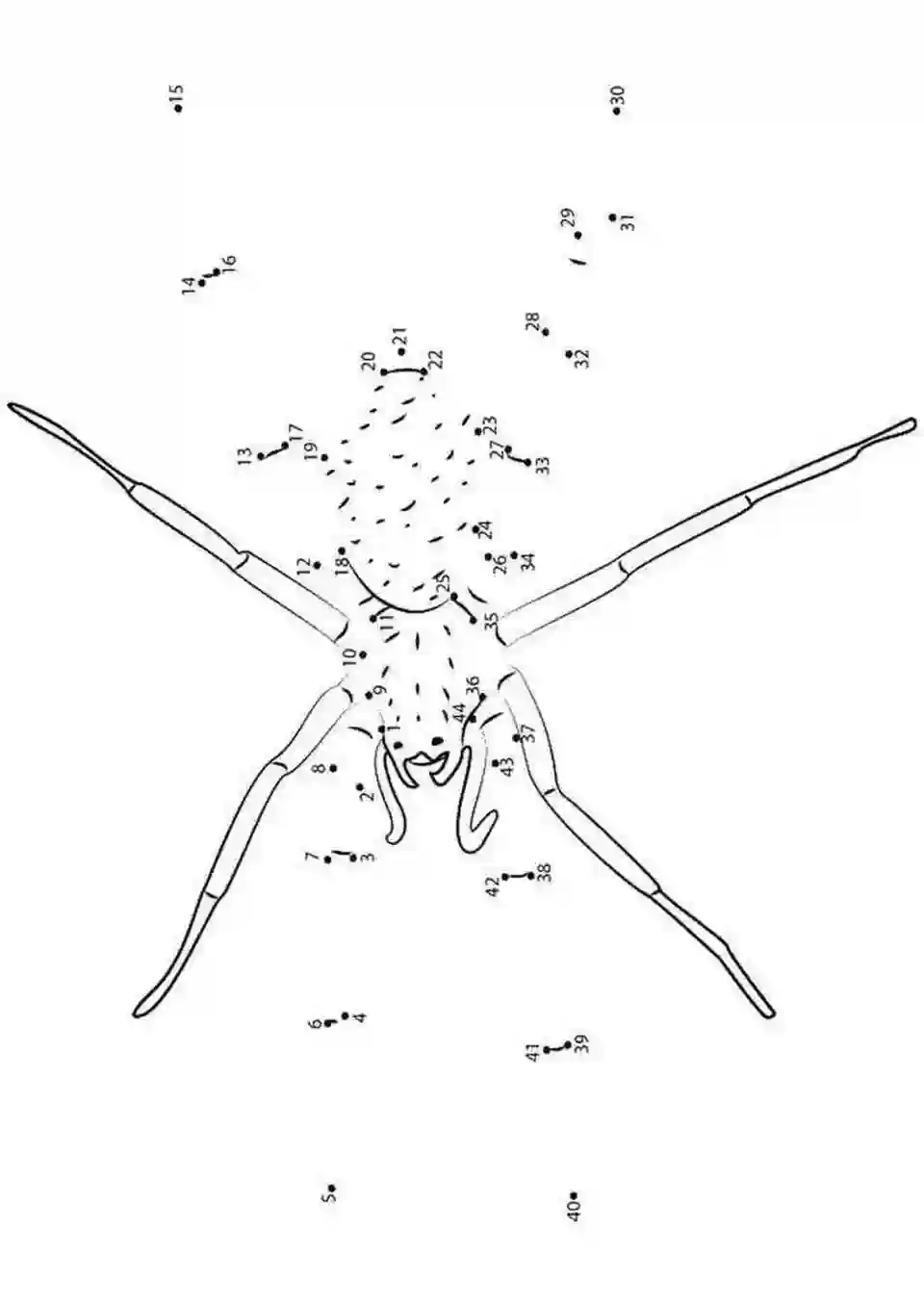 Рисование по точкам насекомые