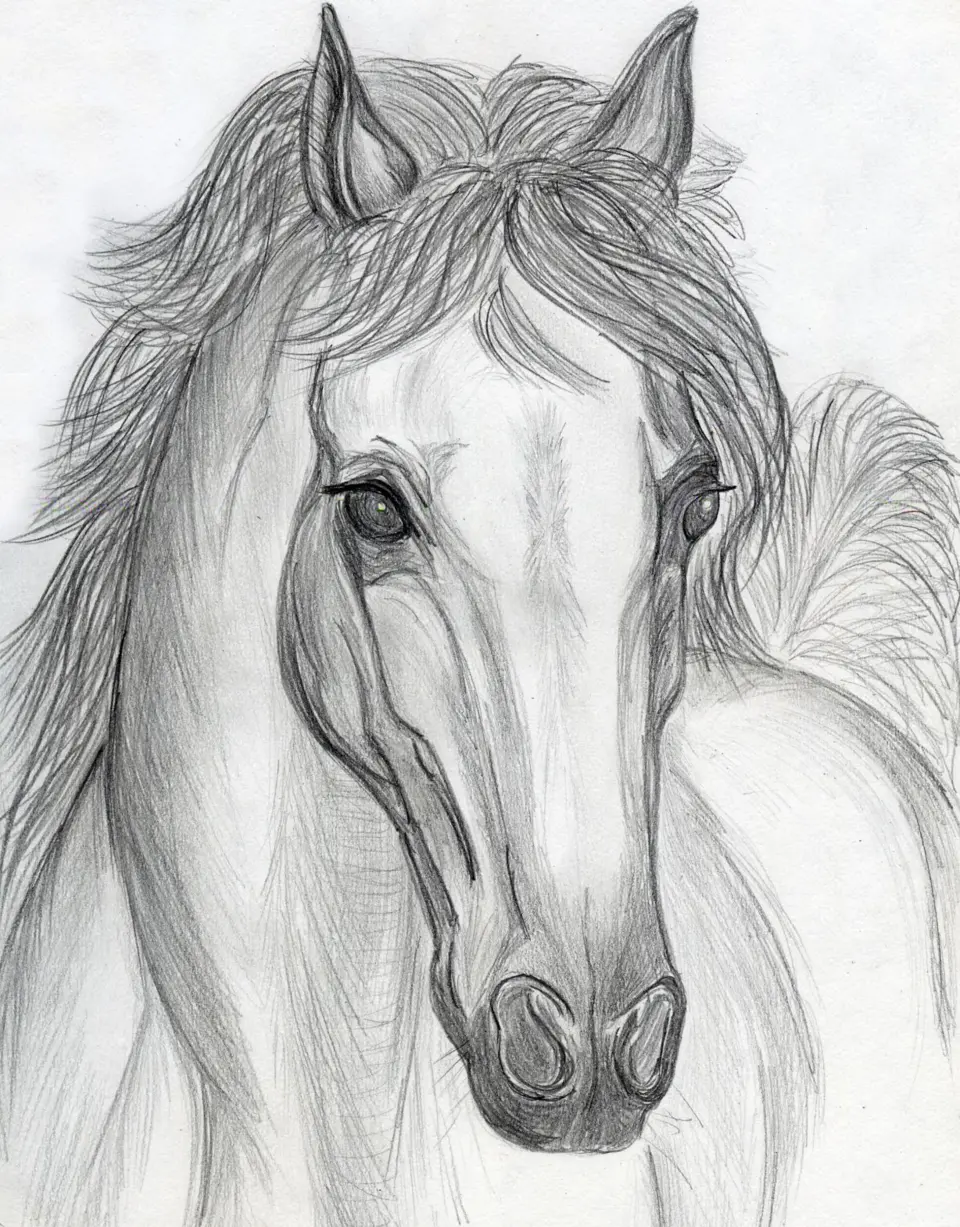 Рисунки карандашом для срисовки лошади