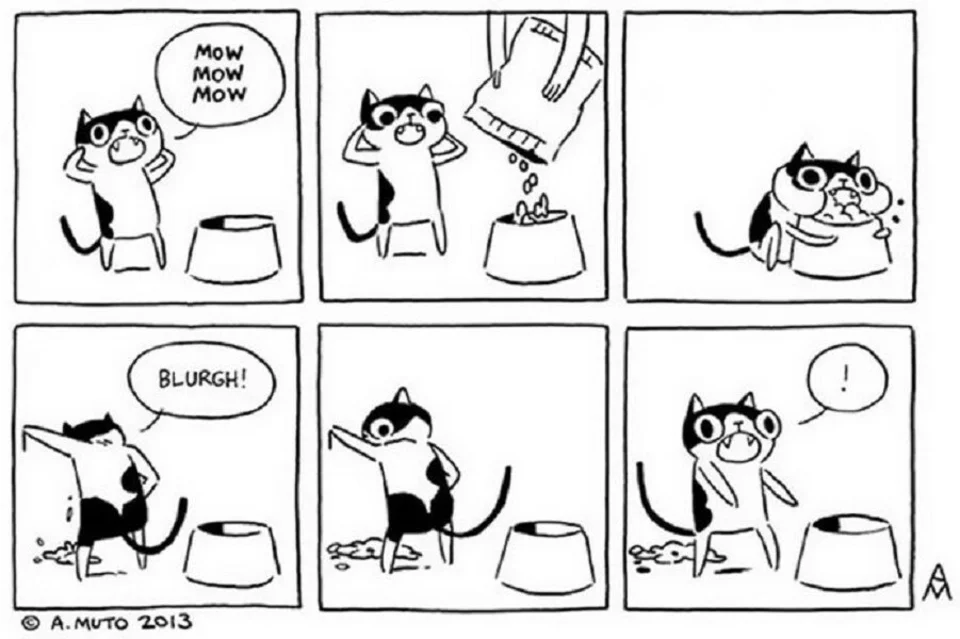 Мем комиксы про кошачий корм