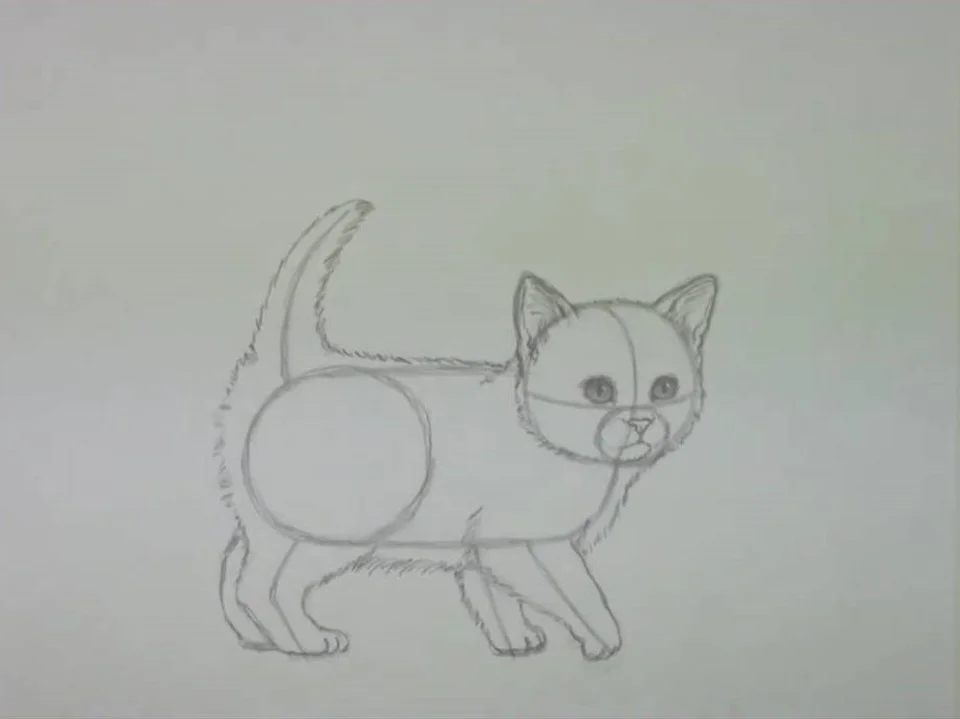 Котенок простым карандашом