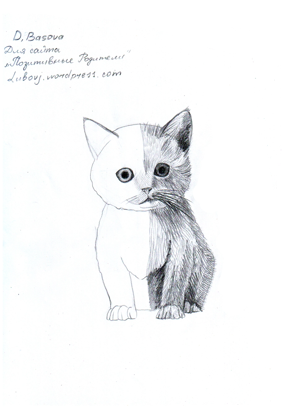 Кот карандашом для срисовки