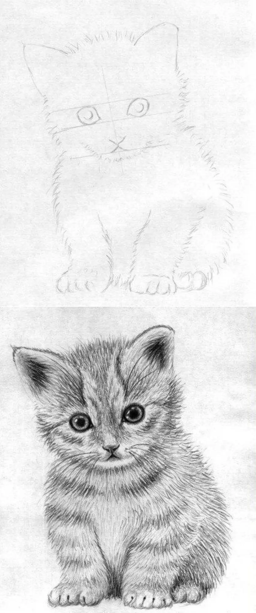 Кошка простым карандашом