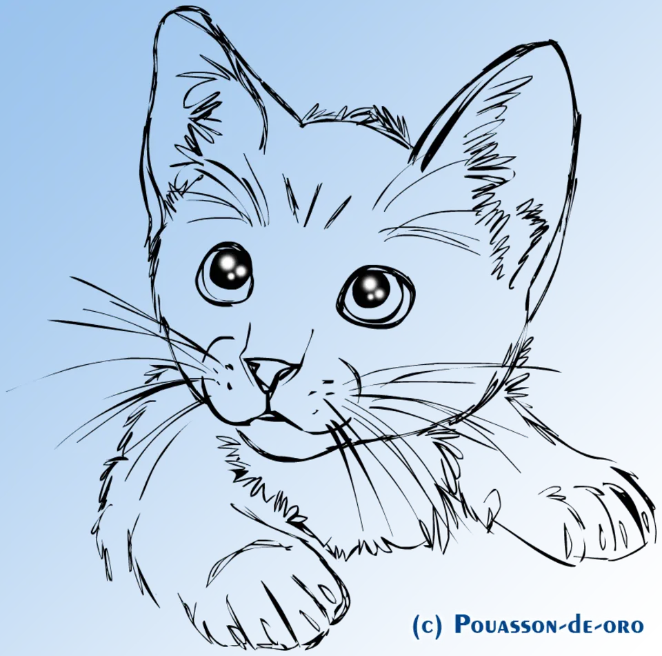 Рисунки котят для срисовки
