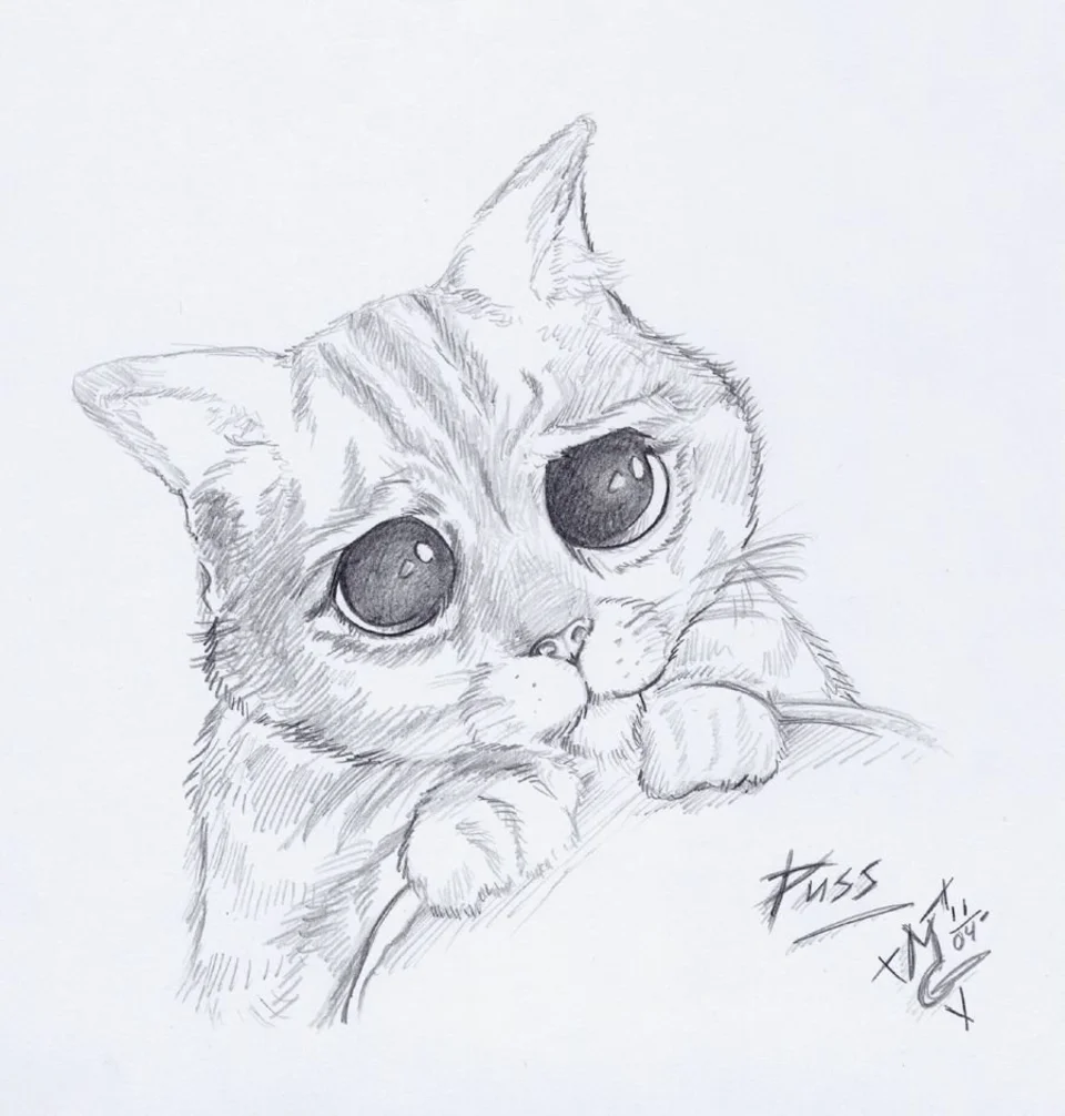Милый котик карандашом