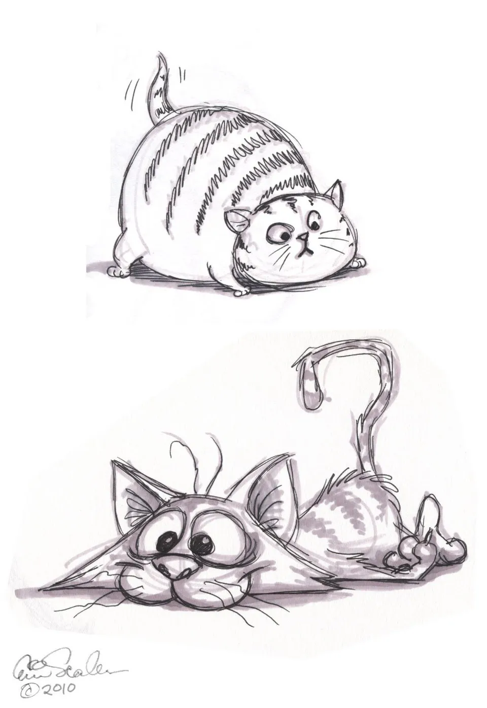 Рисунки котиков для срисовки