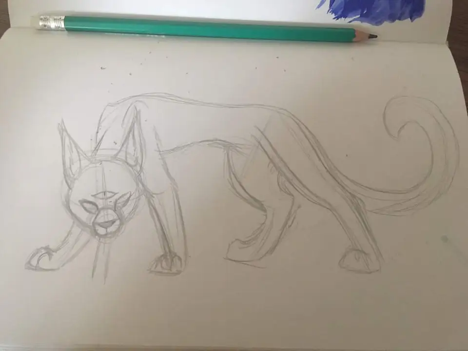 Коты воители рисунки
