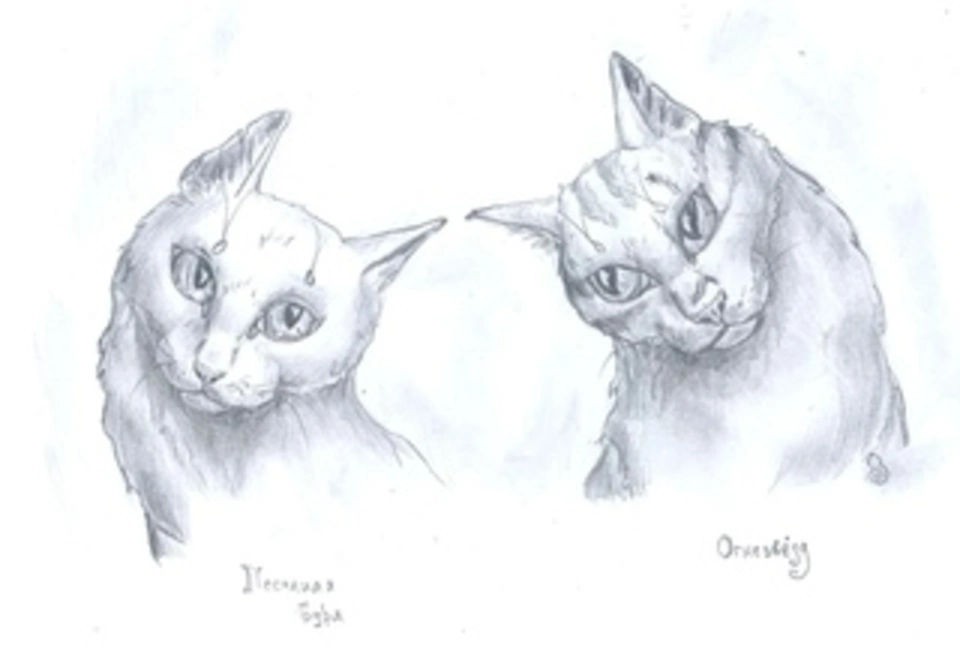 Рисунки карандашом для срисовки коты