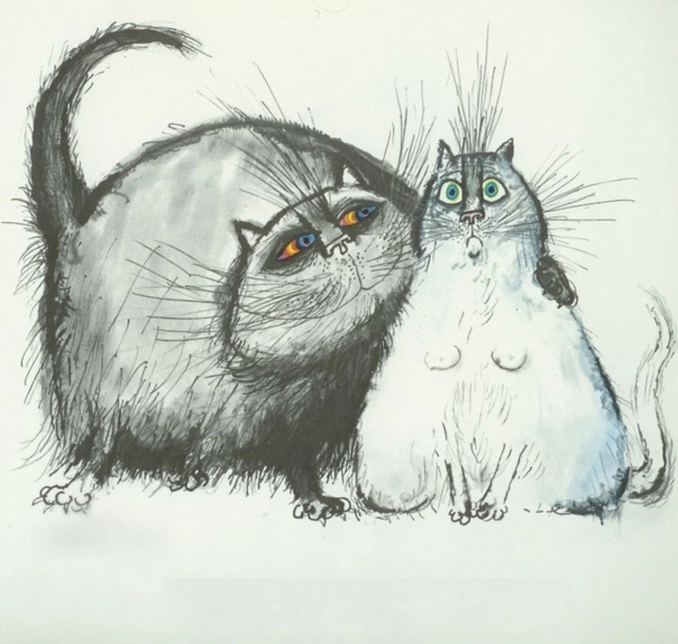 Прикольные рисунки котов