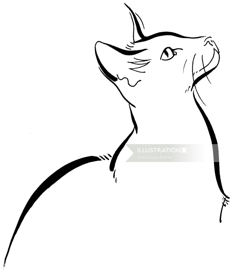Рисунок кошки одной линией