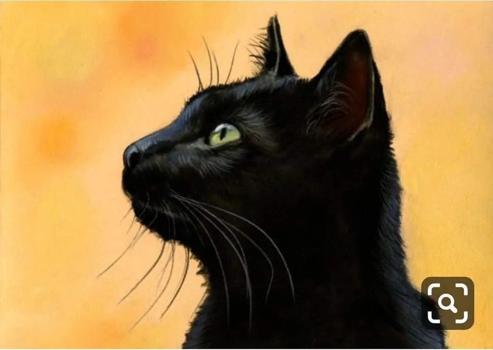 Черный кот картина
