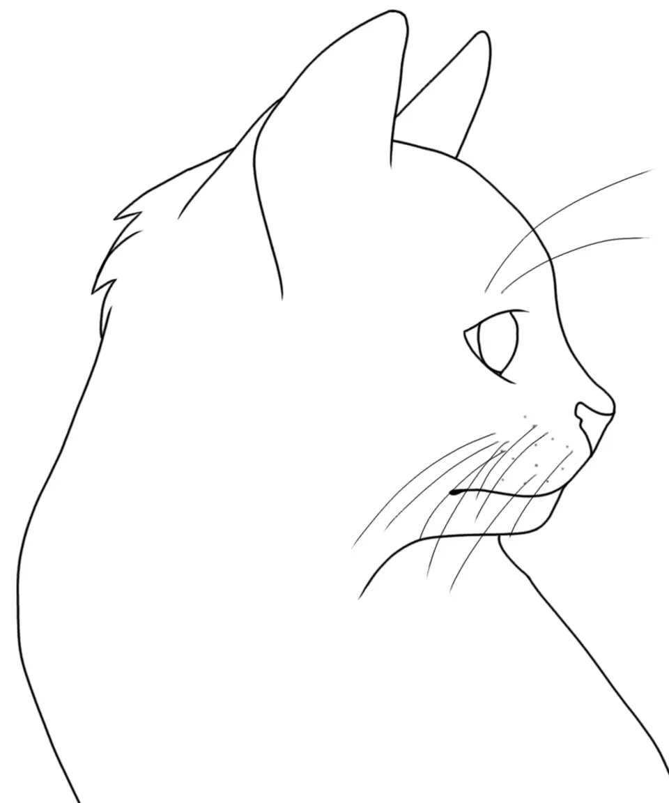 Рисунки кошек карандашом для начинающих