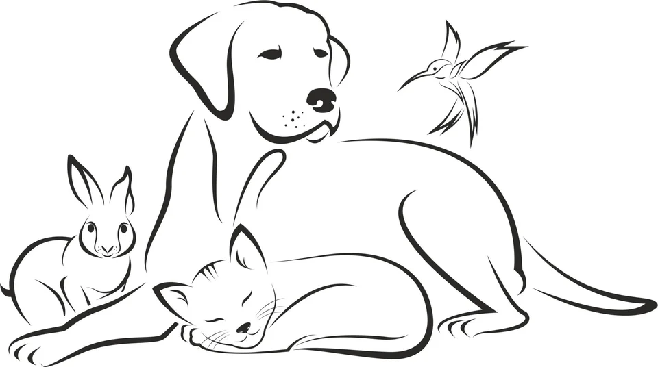Кошка с собакой рисунок
