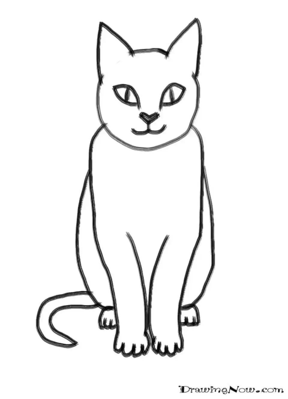 Рисунок кота карандашом для начинающих