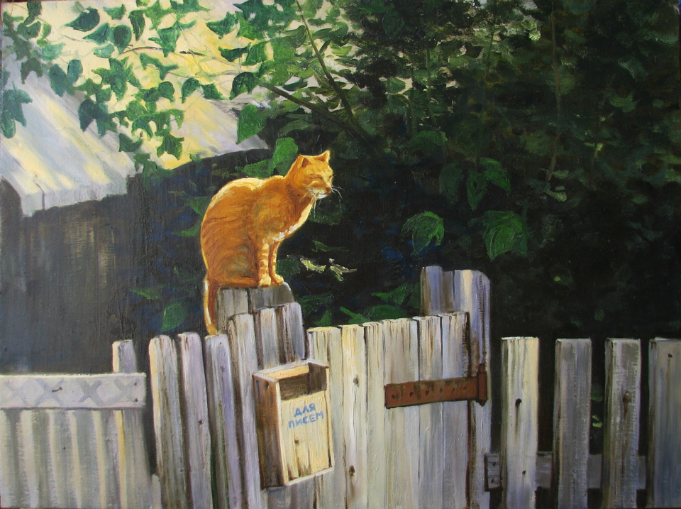 Кот на заборе в деревне
