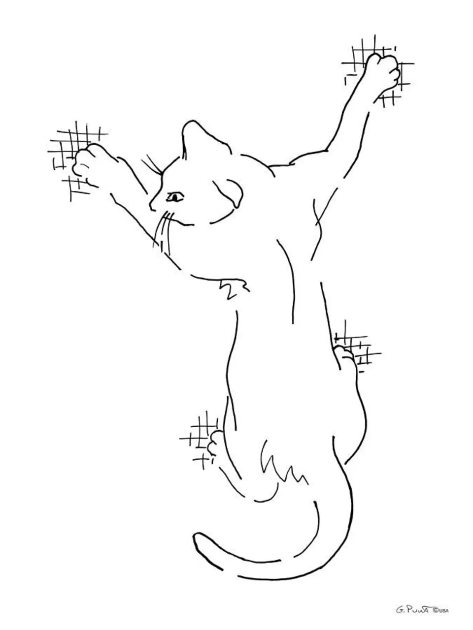 Кошка на задних лапах рисунок