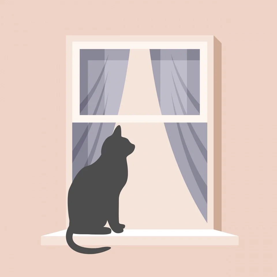 Постер кошки на окне.
