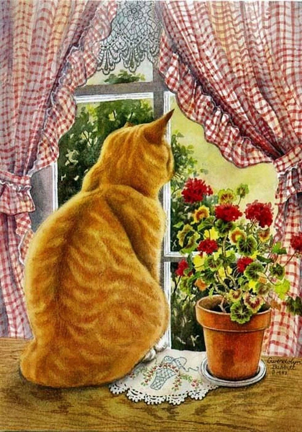 Кот на окне рисунок