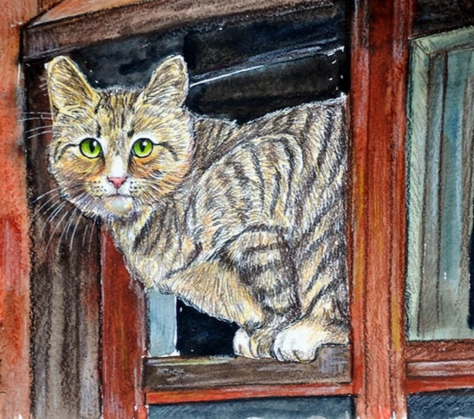 Кошка на окне рисунок