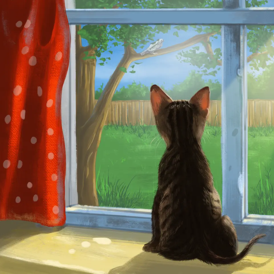 Кот смотрит в окно рисунок