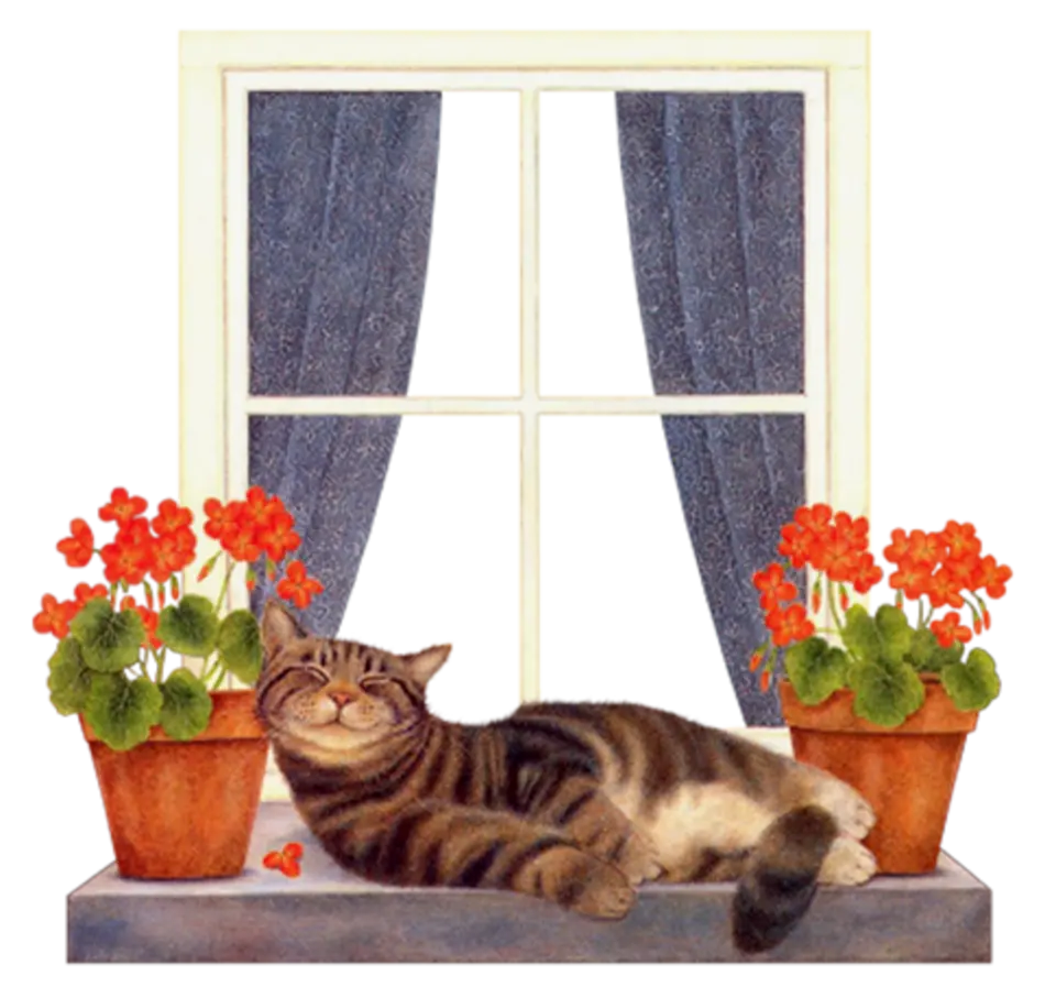 Кошка на окне рисунок