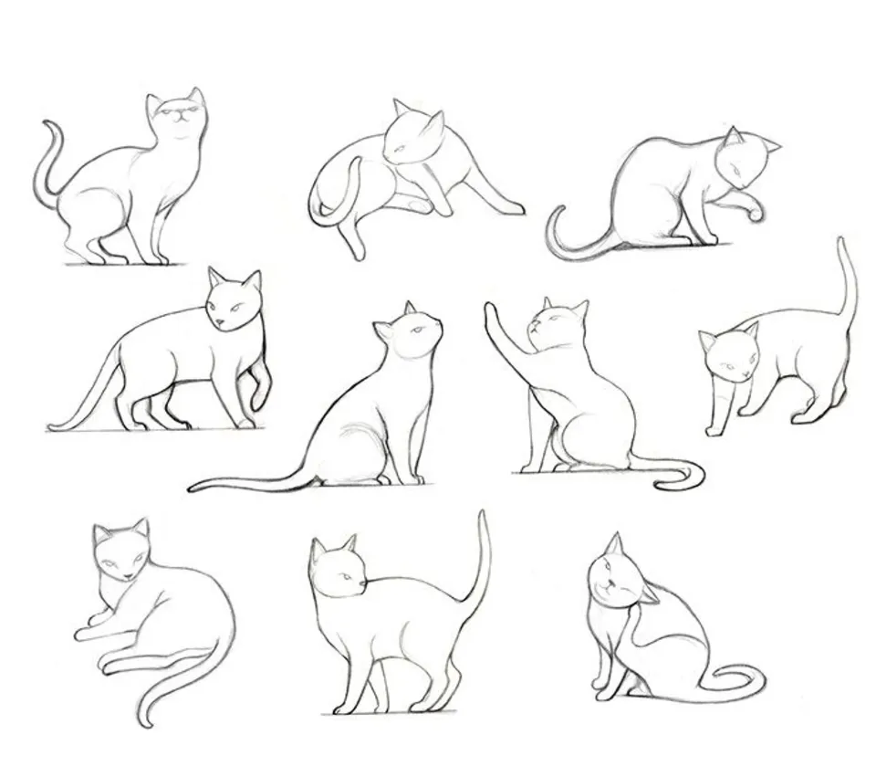 Позы котов для рисования
