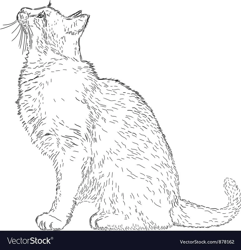 Кошка боком рисунок
