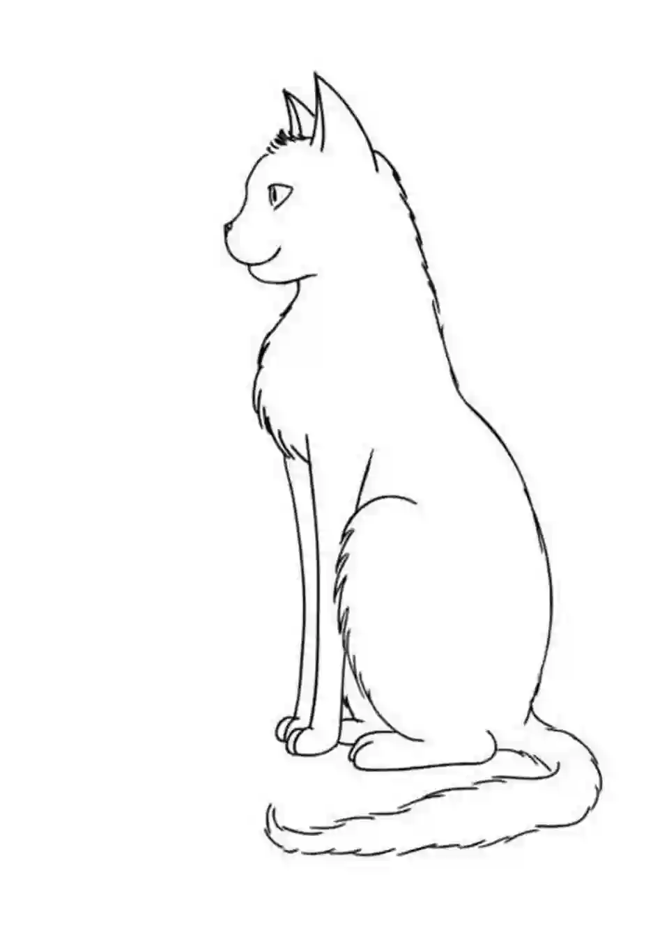 Сидящая кошка рисунок