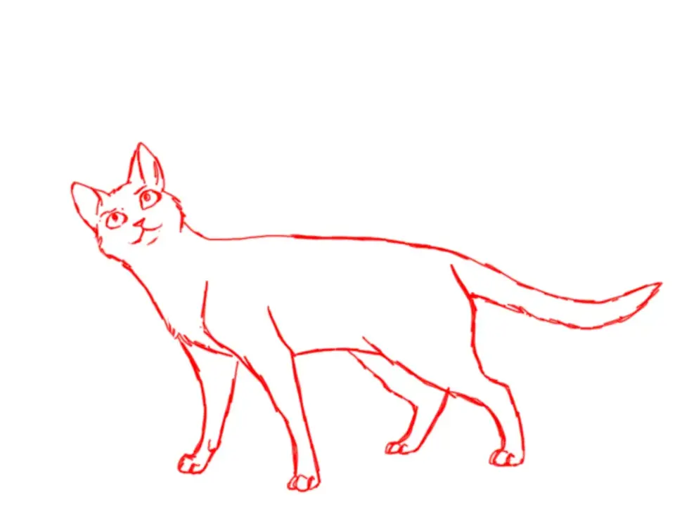 Абиссинская кошка раскрасы