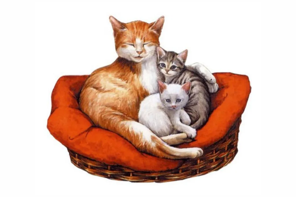 Мама кошка и котенок рисунок