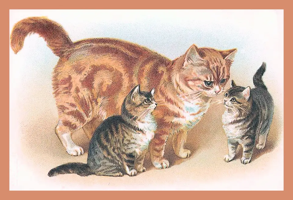 Картина кошка с котятами для детского сада