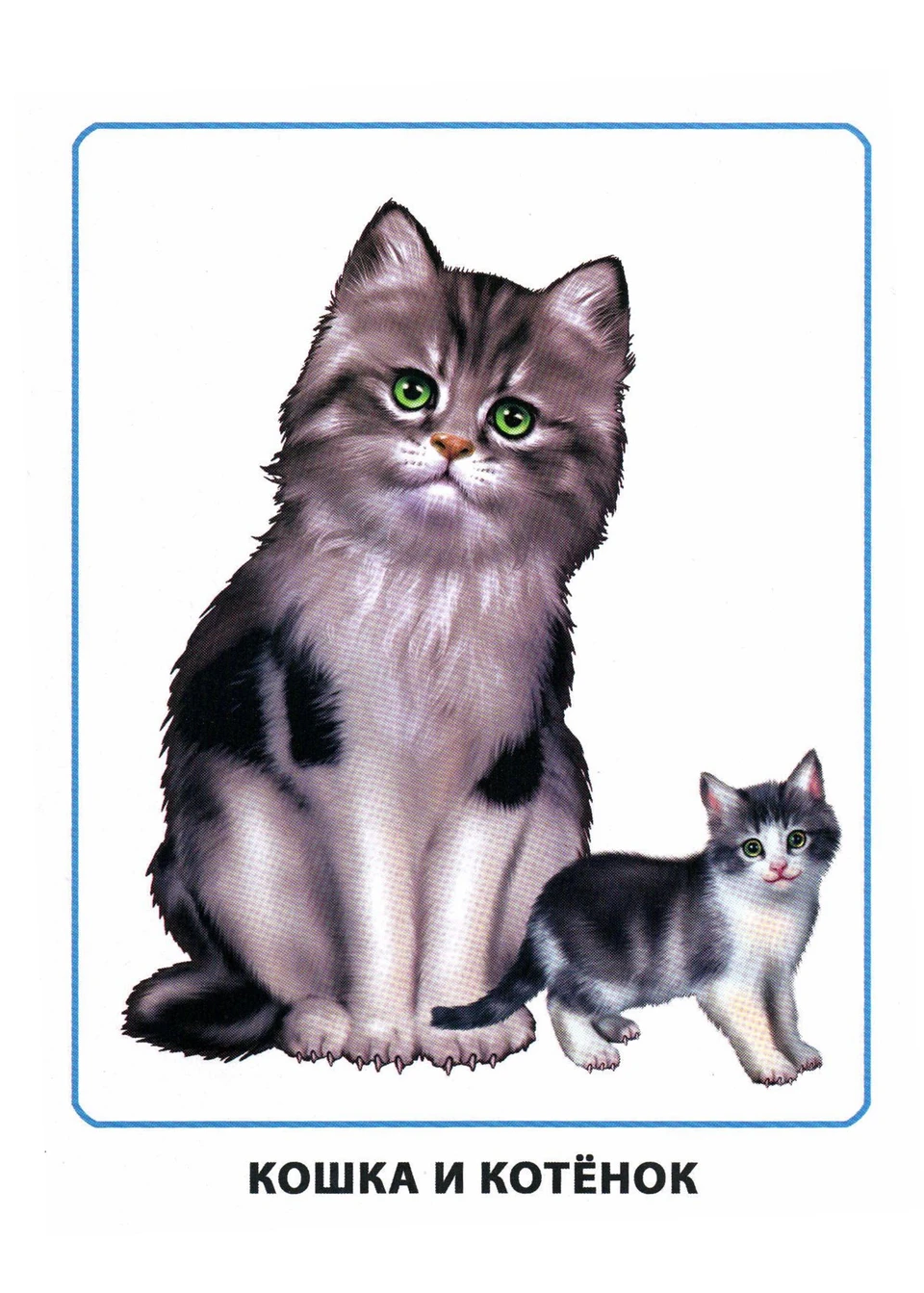 Карточка котенок для детей