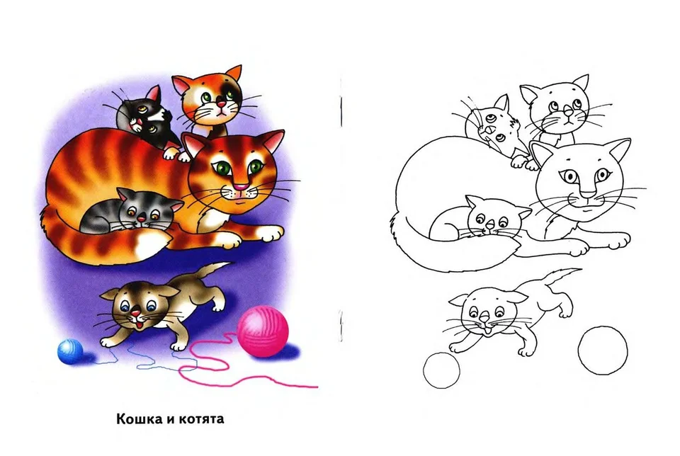 Раскраска для детей кошка