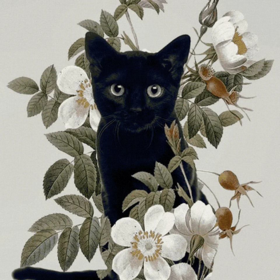 Вышивка черный кот
