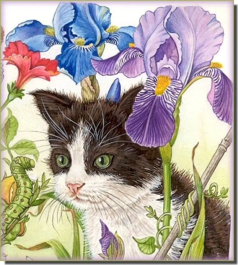 Иллюстрация кошка