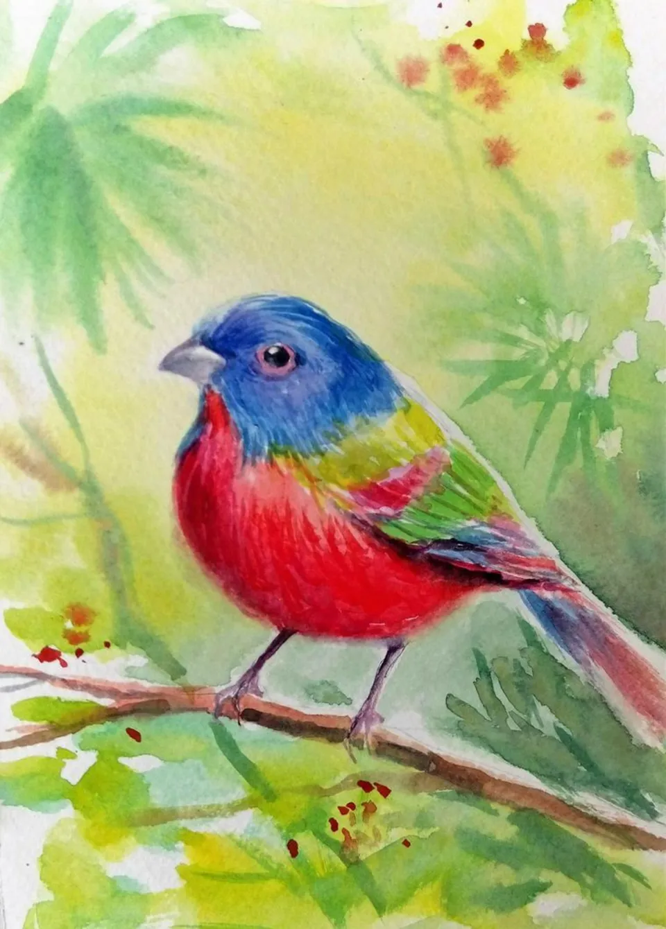 Птичка кардинал цветными карандашами