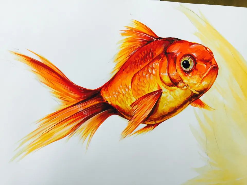 Рыбка рисунок