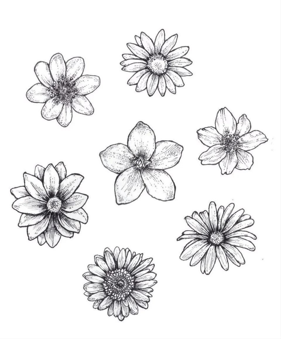 Маленькие цветочки для срисовки