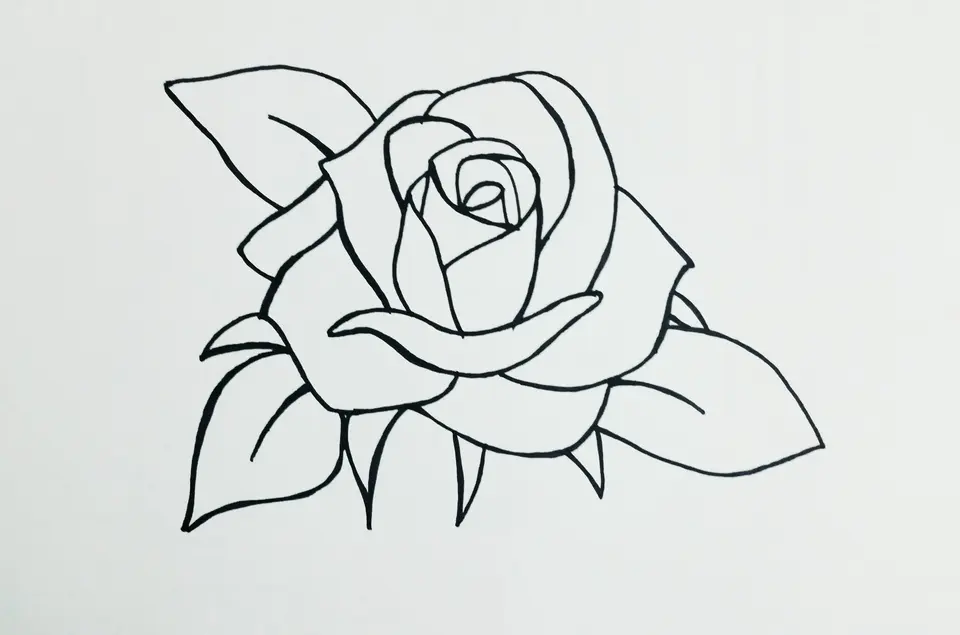 Роза карандашом для срисовки