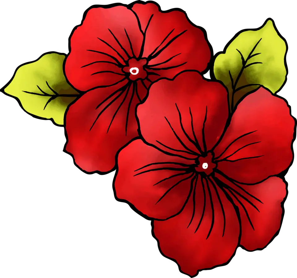Гавайские цветы эскиз