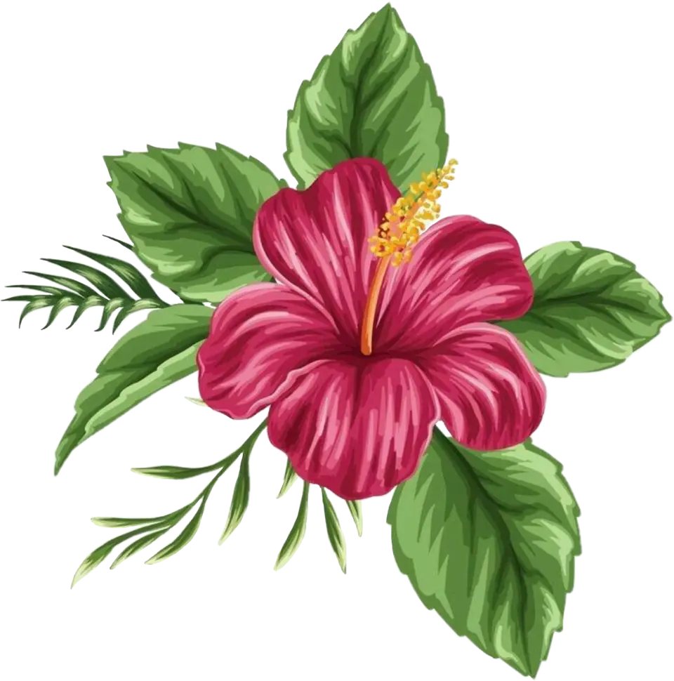 Тропические цветы гибискус