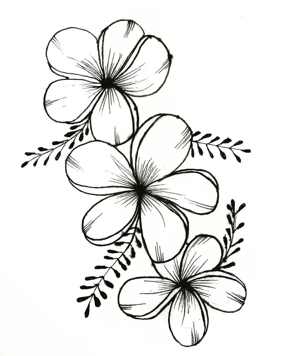 Рисунки для срисовки цветочки