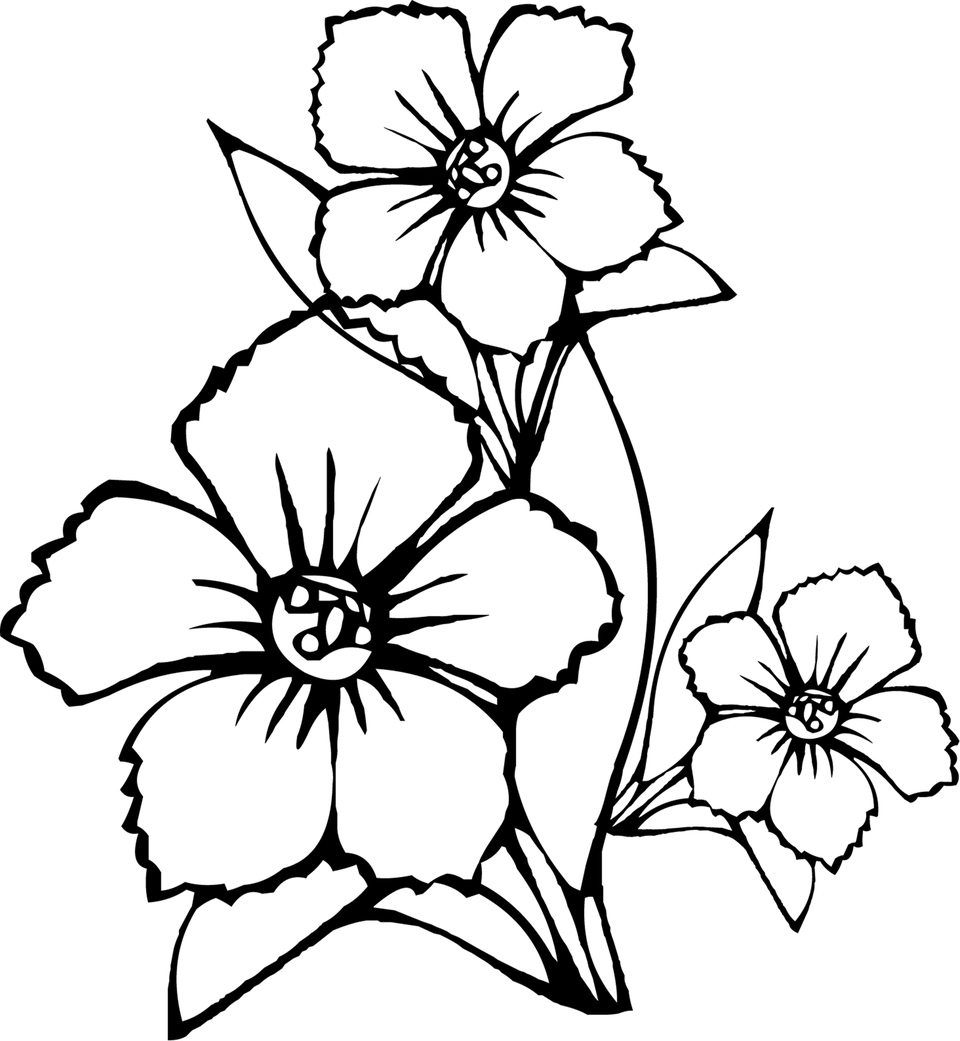 Простые цветы рисунок