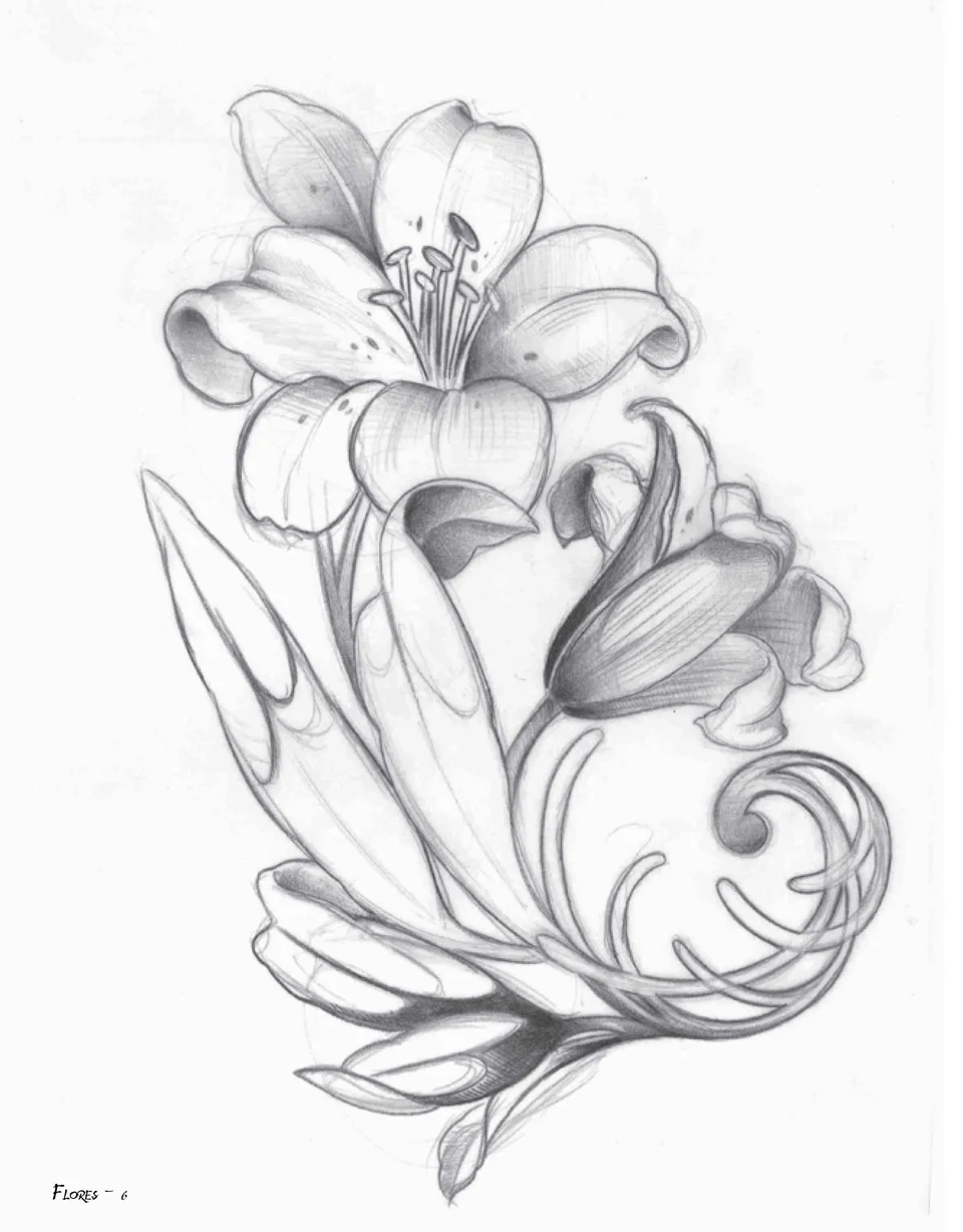 Рисунки карандашом цветы