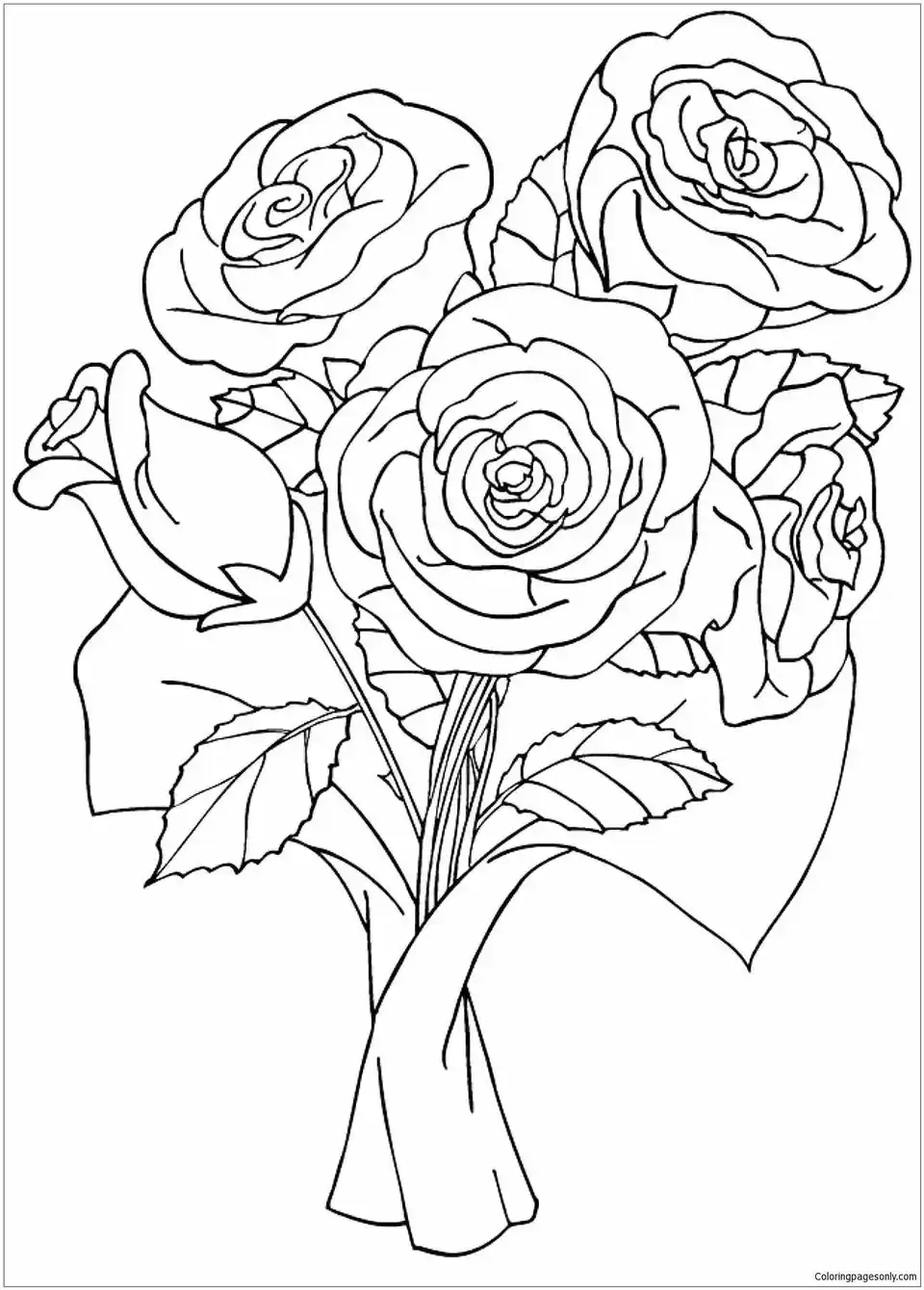 Раскраска роза