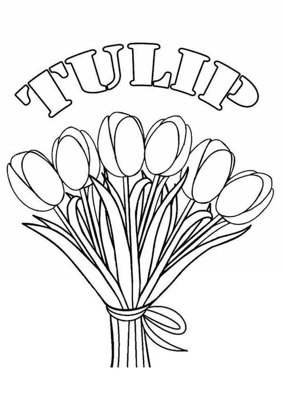 Букет тюльпанов контур
