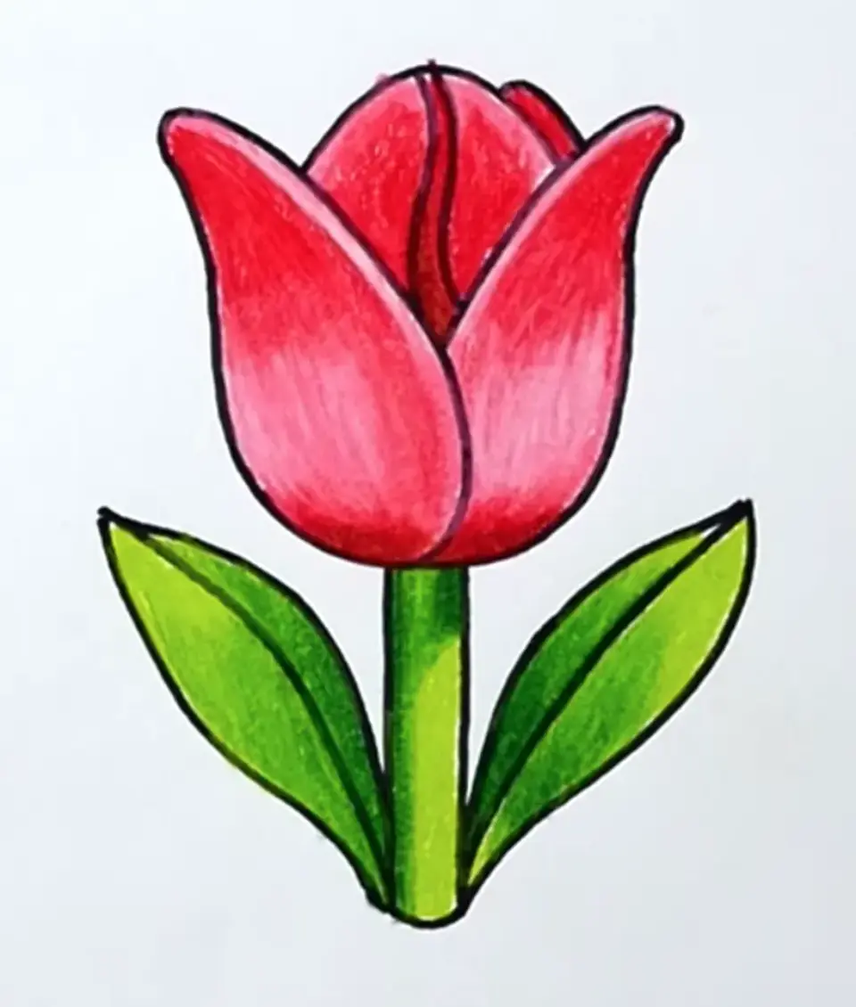 Тюльпан детский рисунок