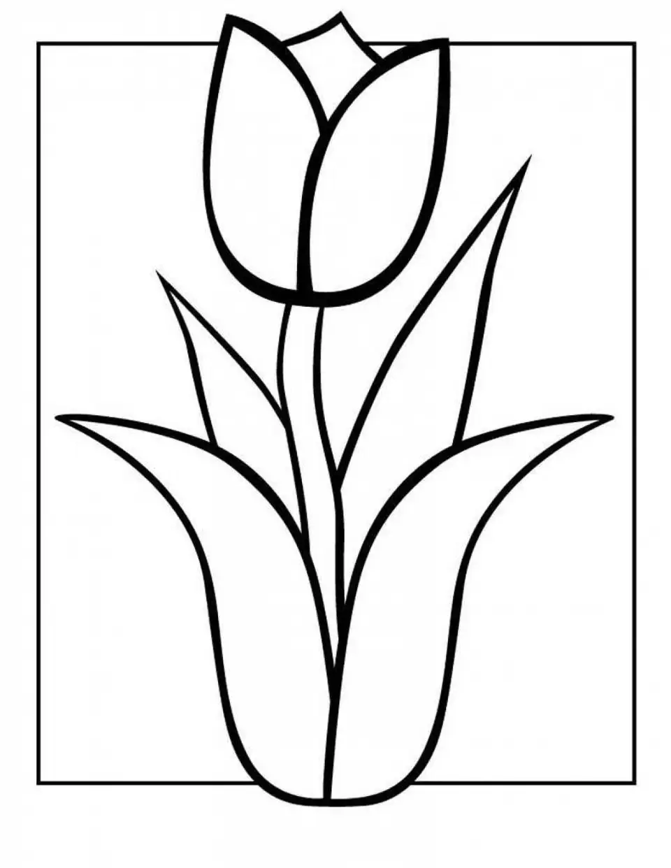Раскраска тюльпаны для детей